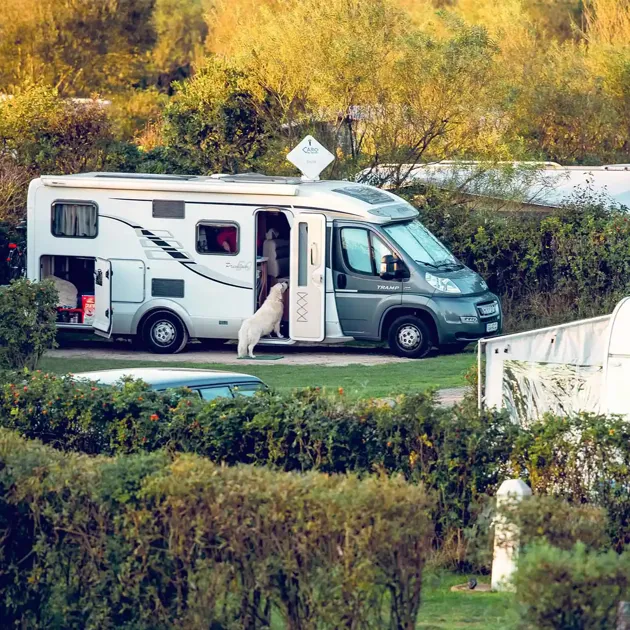 Hvidbjerg Strand Camping Resort Camping Autocamper