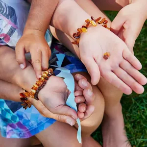 Hvidbjerg Strand Camping Resort Rav