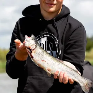 Hvidbjerg Strand Camping Resort Fiskesoe Fangst