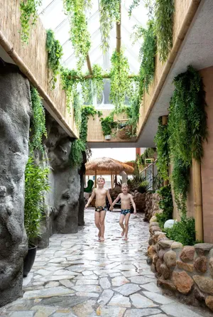 Hvidbjerg Strand Camping Resort Badeland Planter